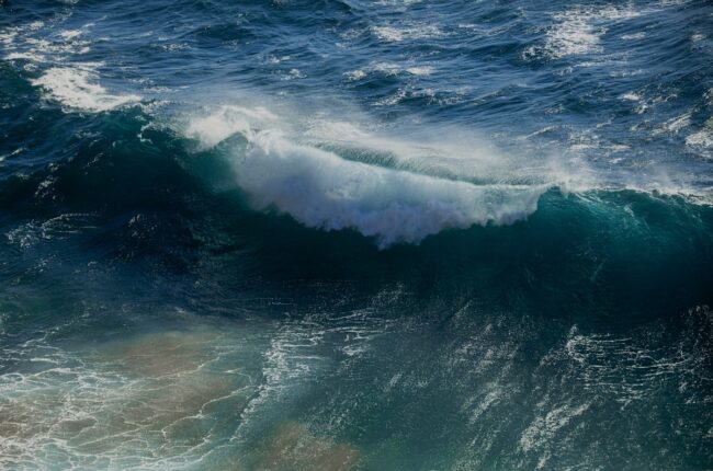 acidification des oceans CO2 consequences vie marine
