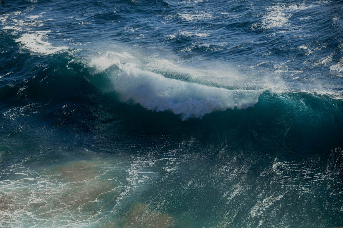 acidification des oceans CO2 consequences vie marine