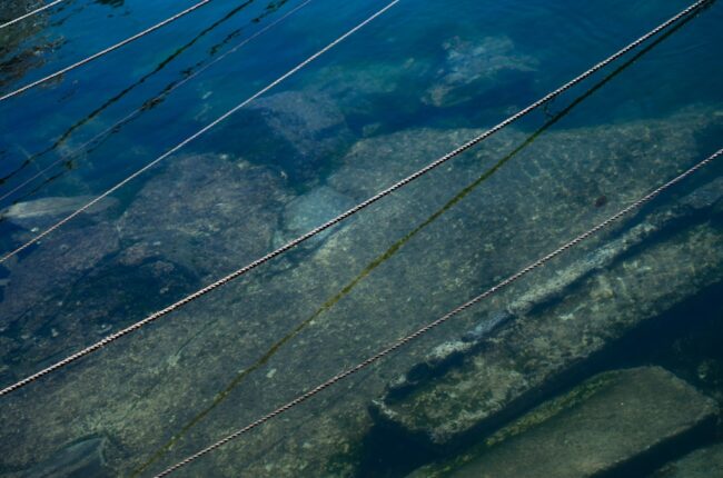 commerce illégal espèces marines trafic biodiversité protection