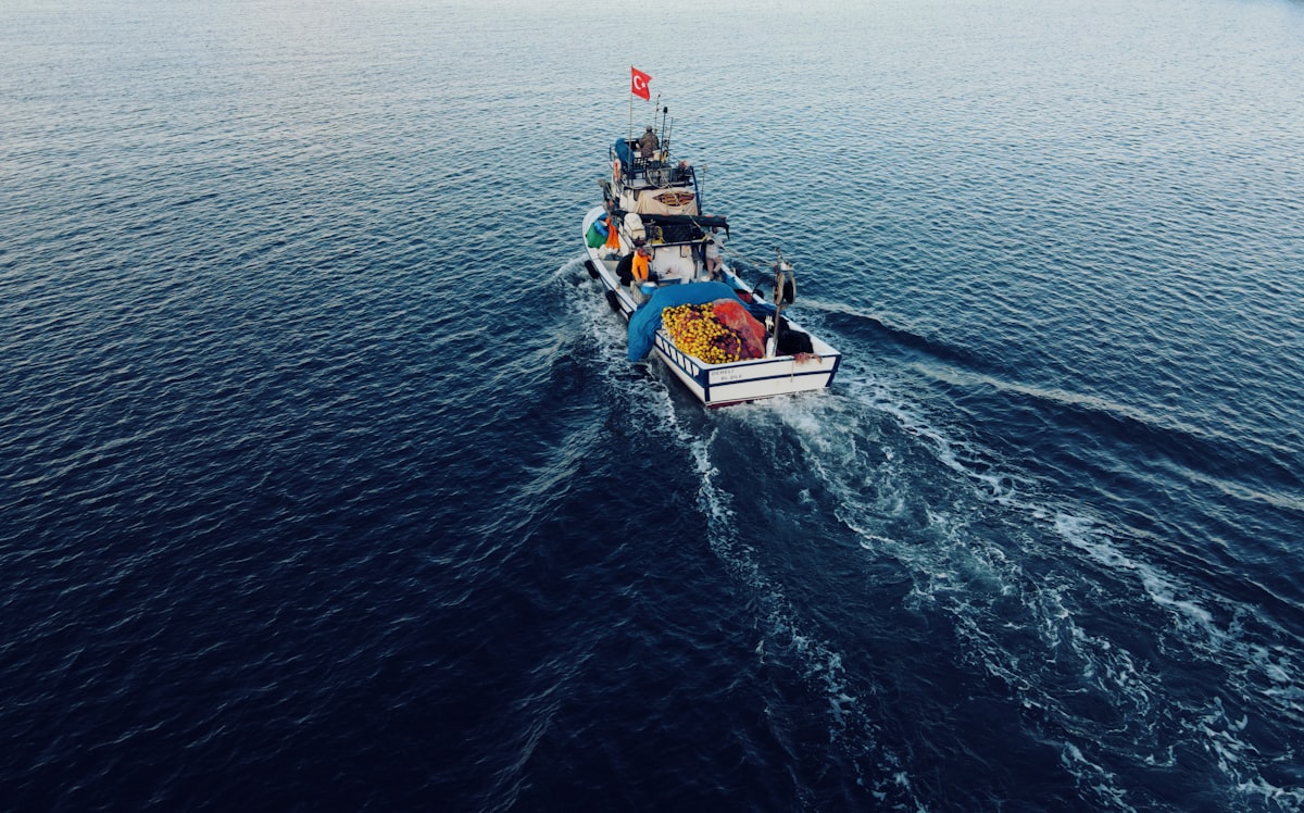 géo-ingénierie des océans recherche marine carbone climat