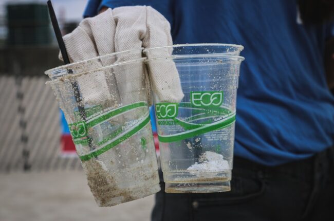 plastiques biodégradables océans bioplastiques solution alternative