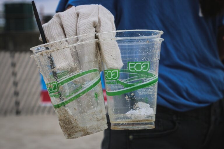 plastiques biodégradables océans bioplastiques solution alternative