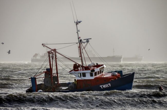 bateau de pêche industrielle surpêche océan