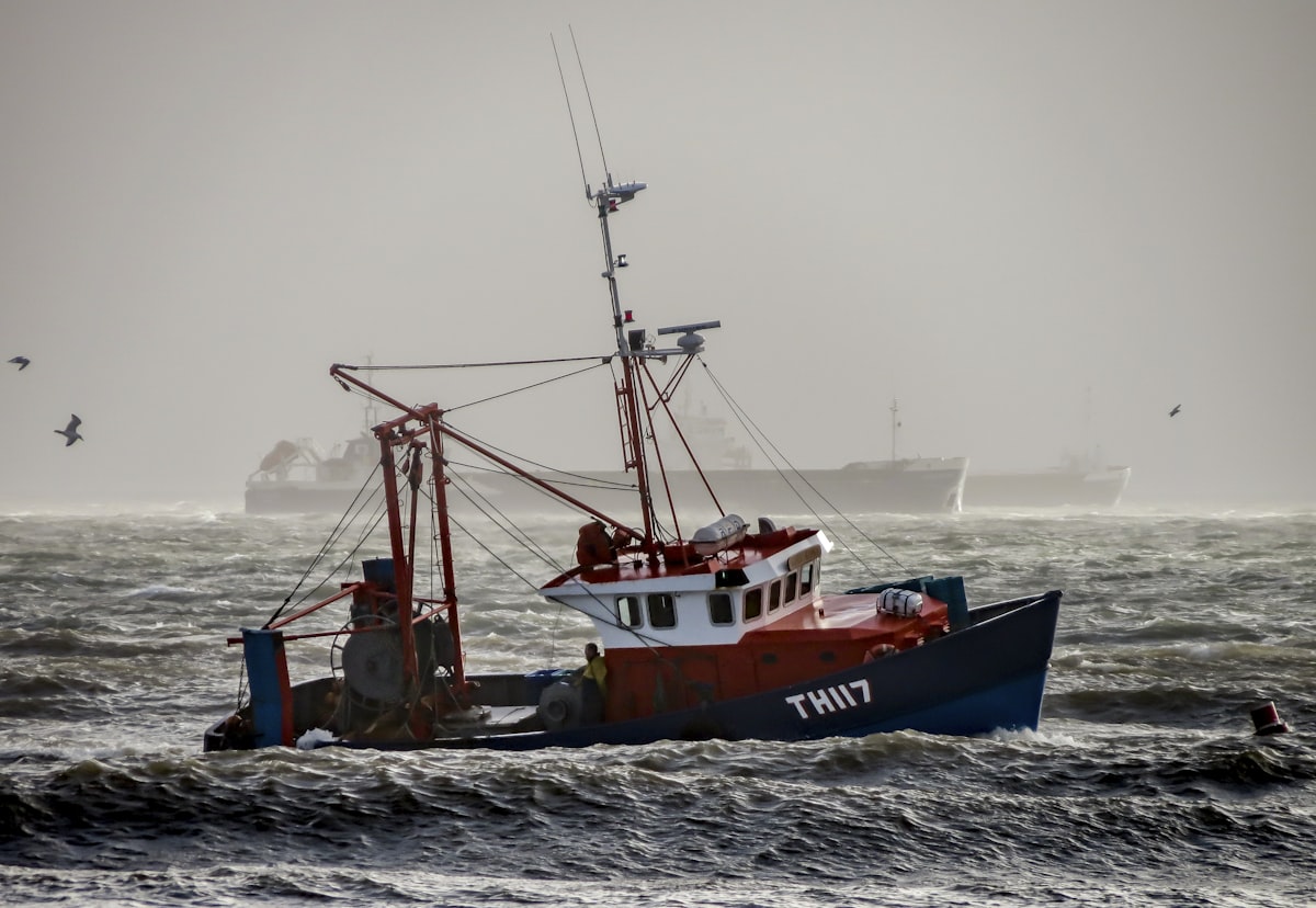 bateau de pêche industrielle surpêche océan
