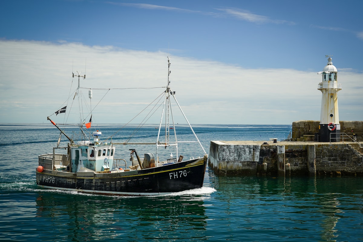 bateau de pêche industrielle surpêche océan