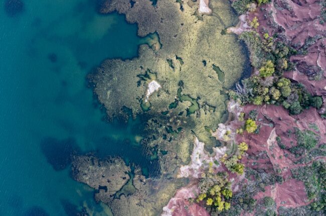 proliferation algues eutrophisation zones mortes ocean